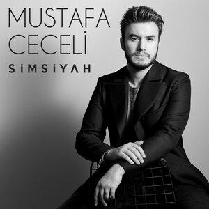 Mustafa Ceceli, Cinare Melikzade - Vurulmuşam