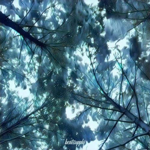 Akasashi - Dreams of You
