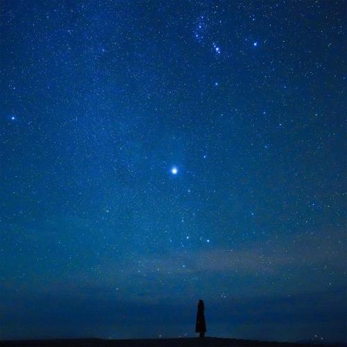 Akira Kosemura - Stellar
