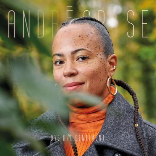 Andree Grise - Bye Bye Gentiment