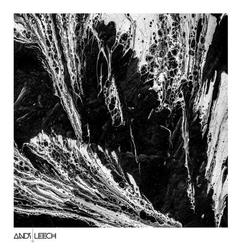 Andy Leech - Black Orchid