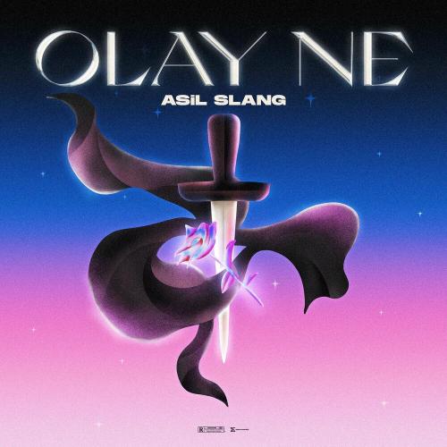 Asil Slang - Olay Ne