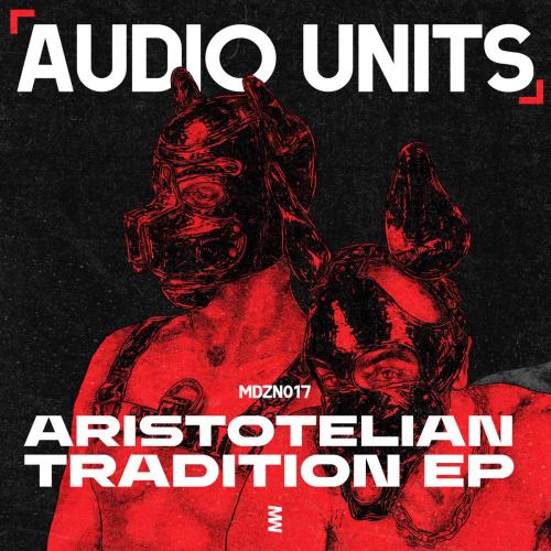 Audio Units - I'm Just All You Need (Temudo Remix)