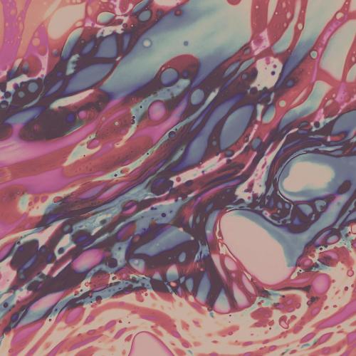 Avenoirae - Fina