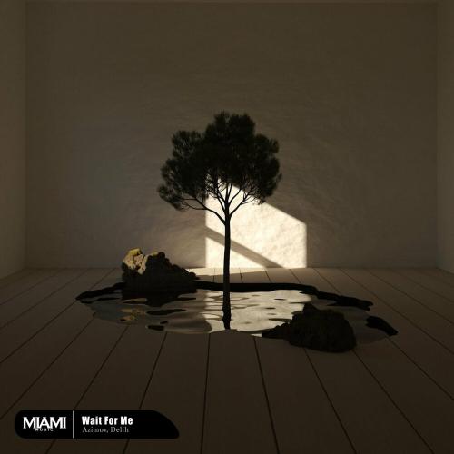 Azimov & Delih - Wait For Me