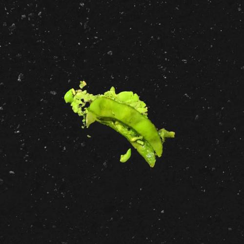 bbno$ - edamame (feat. Rich Brian) [Diplo Remix]