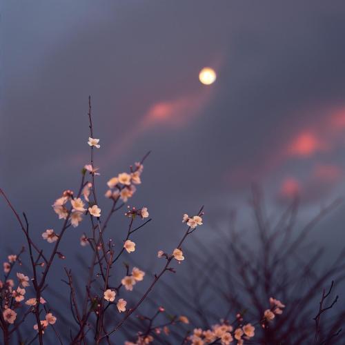 Bcalm - next to you