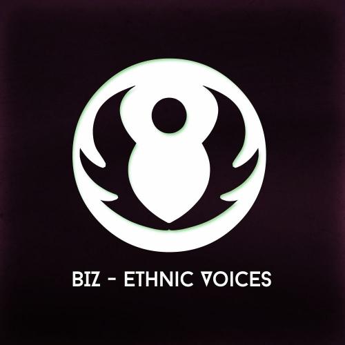 BIZ - Outfit (Original Mix)