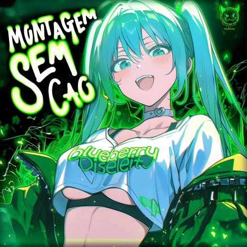 blueberry, Diseleit - MONTAGEM SEM CAO