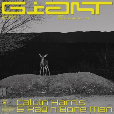 Calvin Harris, Rag'n'Bone Man - Giant (with Rag'n'Bone Man)