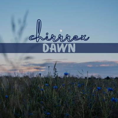 chirrrex - Dawn