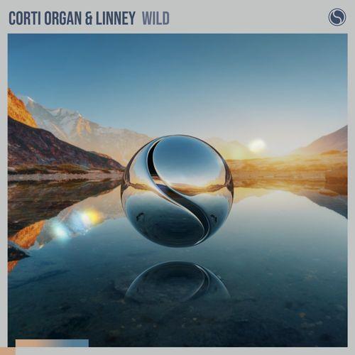 Corti Organ - Wild
