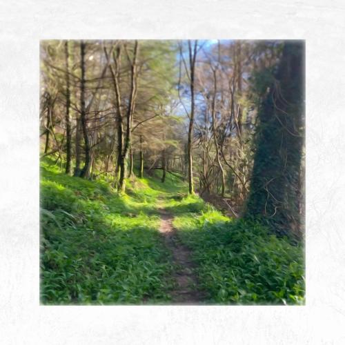 Delayde, KioKo & Mondo Loops - Silver Birch