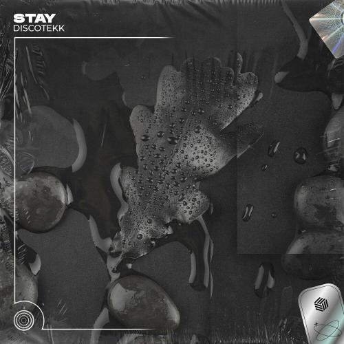 Discotekk - Stay