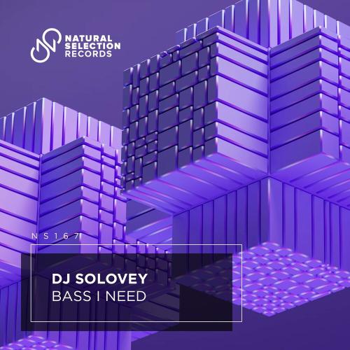 DJ Solovey - Bass I Need