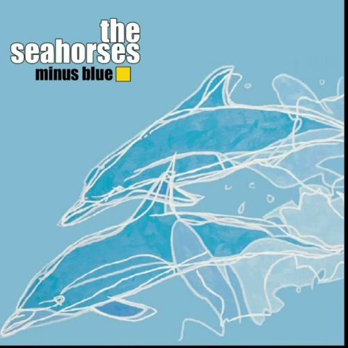 Dolphin’s Talk - Seahorse Theme