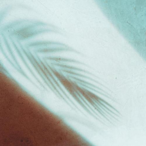 Easy Grooves - Worldview