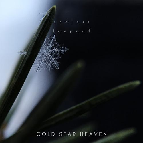 Endless Leopard - Cold Star Heaven
