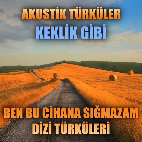 Enes Yolcu - Akustik Türküler_ Keklik Gibi (Ben Bu Cihana Sığmazam Dizi Türküleri)