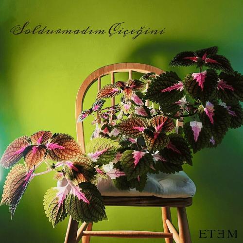 Etem - Soldurmadım Çiçeğini