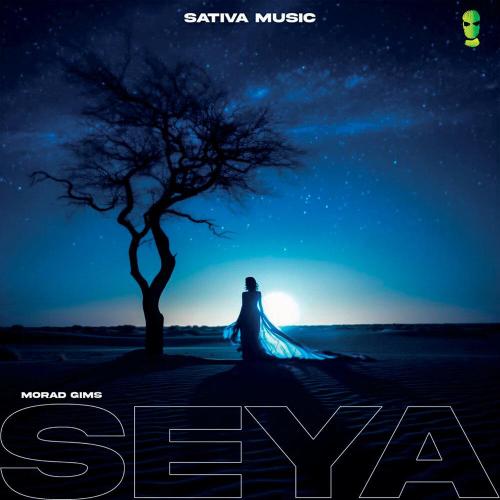 GIMS - Seya