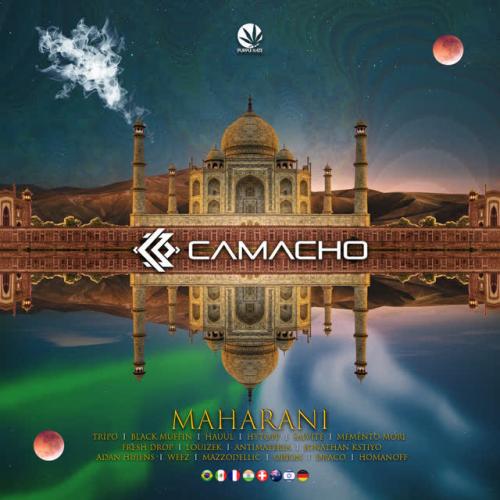 Henrique Camacho - Maharani Hi-Tech