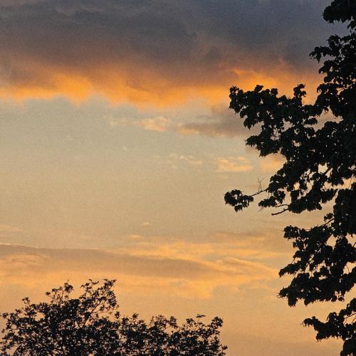 Hoogway - slow life