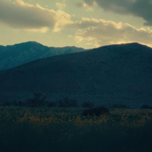 Ian Grey - Garden