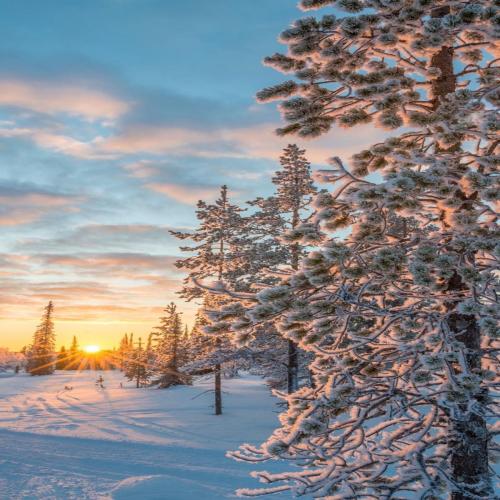 Jam'addict - Winter Morning