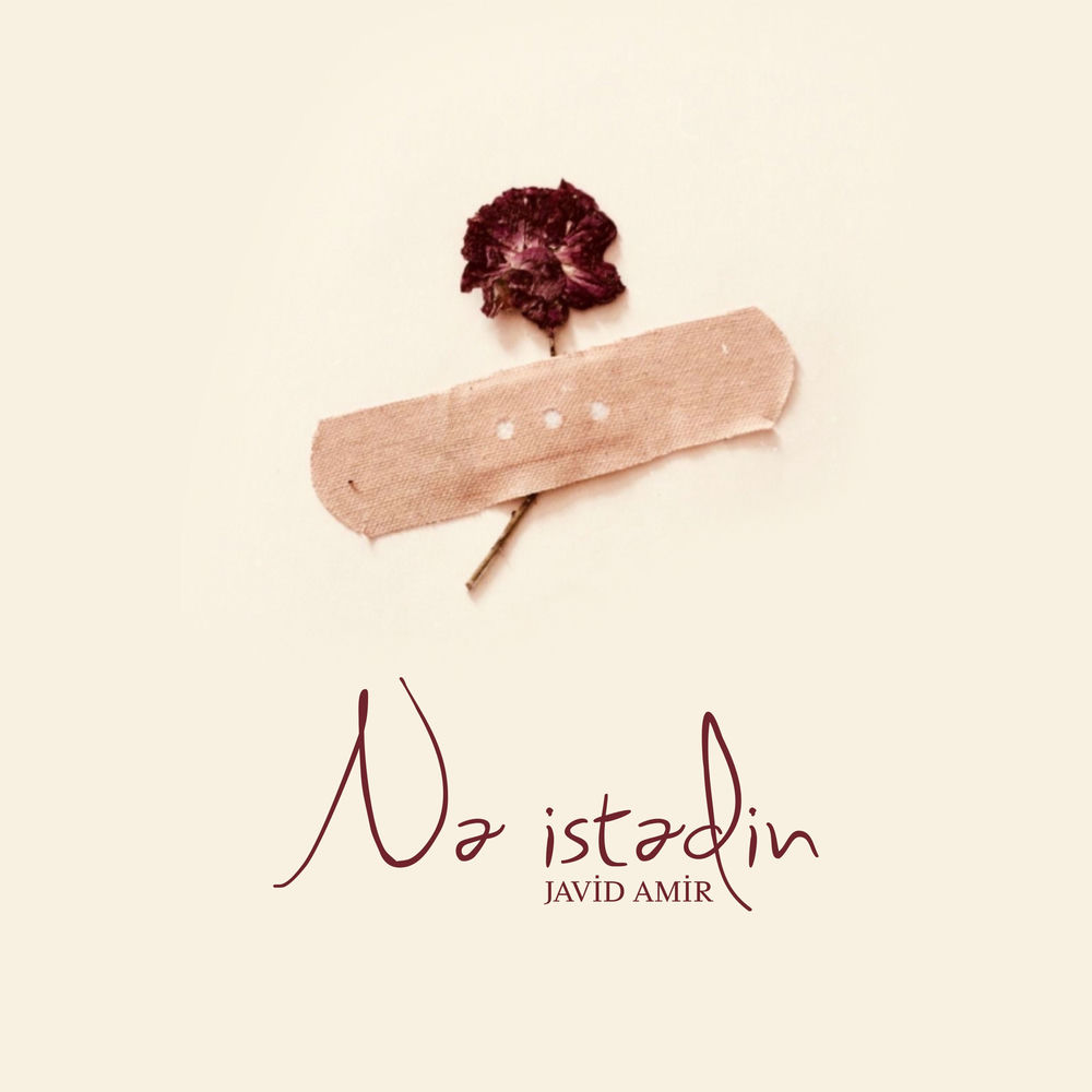 Javid Amir - Nə İstədin