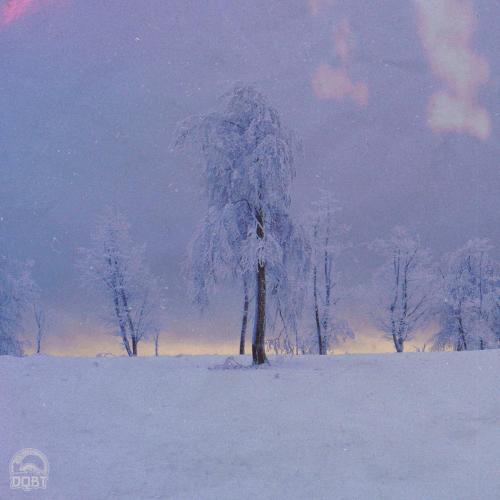 Jing3 - First Winter Rain