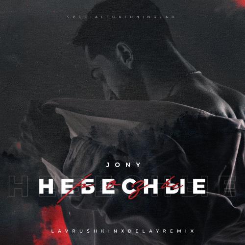 JONY - Небесные Розы (Lavrushkin & Delay Remix)