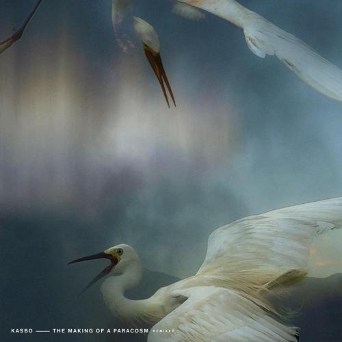 Kasbo - Lune (feat. Vancouver Sleep Clinic) [Mindchatter Remix]