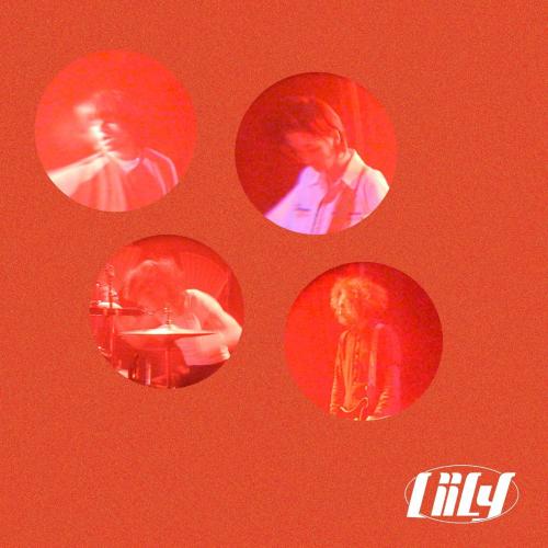 Liily - Swallow