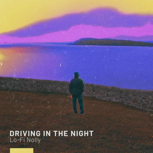 Lo-Fi Nolly - Driving in the Night