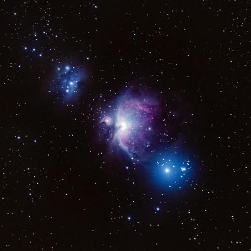 Los Cogelones - Cosmos
