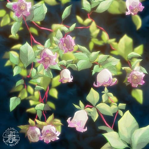 lov sum & Alto - codonopsis