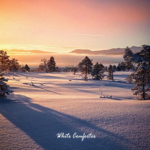 Low North - White Comforter