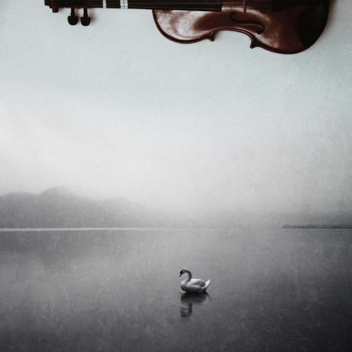 Lullaby Orchestra - Edelweiss (Violin & Piano)