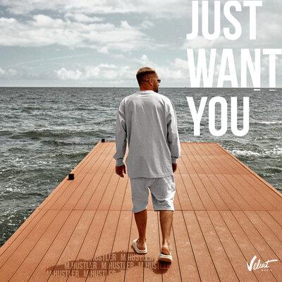 M.Hustler feat. Delphia - Just Want You