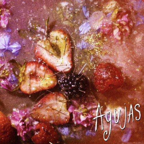 Margaritas Podridas - Agujas