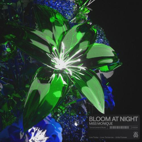 Miss Monique - Bloom At Night