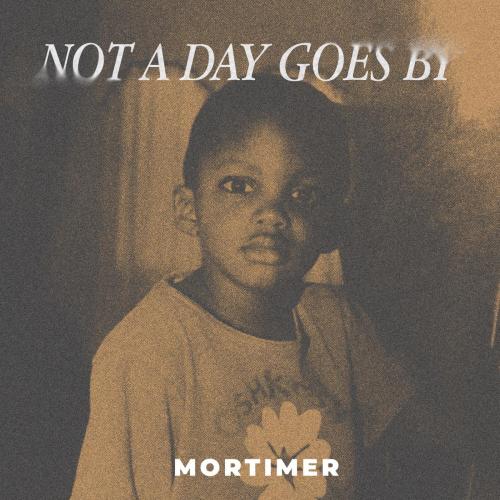 Mortimer - Not A Day Goes By