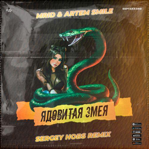 MriD & Artem Smile - Ядовитая Змея (Serg Shenon Radio Remix)