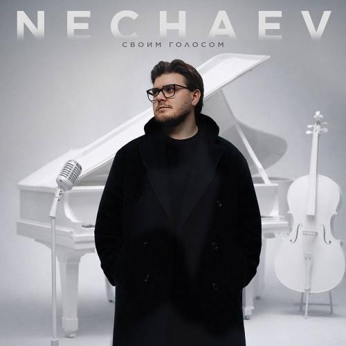 NECHAEV - Холодно