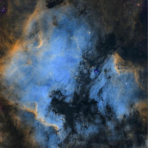 Orion - Survivalism
