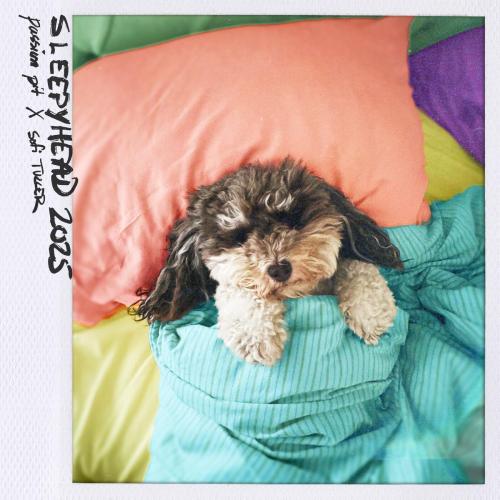 Passion Pit & Sofi Tukker - Sleepyhead 2025