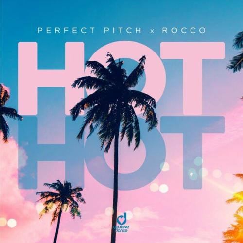 Perfect Pitch feat. Rocco - Hot