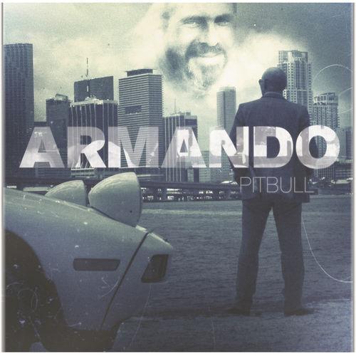 Pitbull - Maldito Alcohol (Pitbull vs. Afrojack)