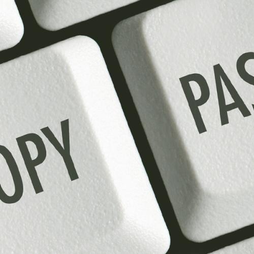 RADISE - Copy You